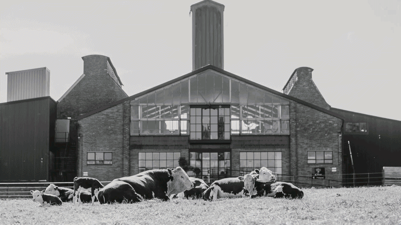 Rosemaund brings a Guy Ritchie flavour to English whisky