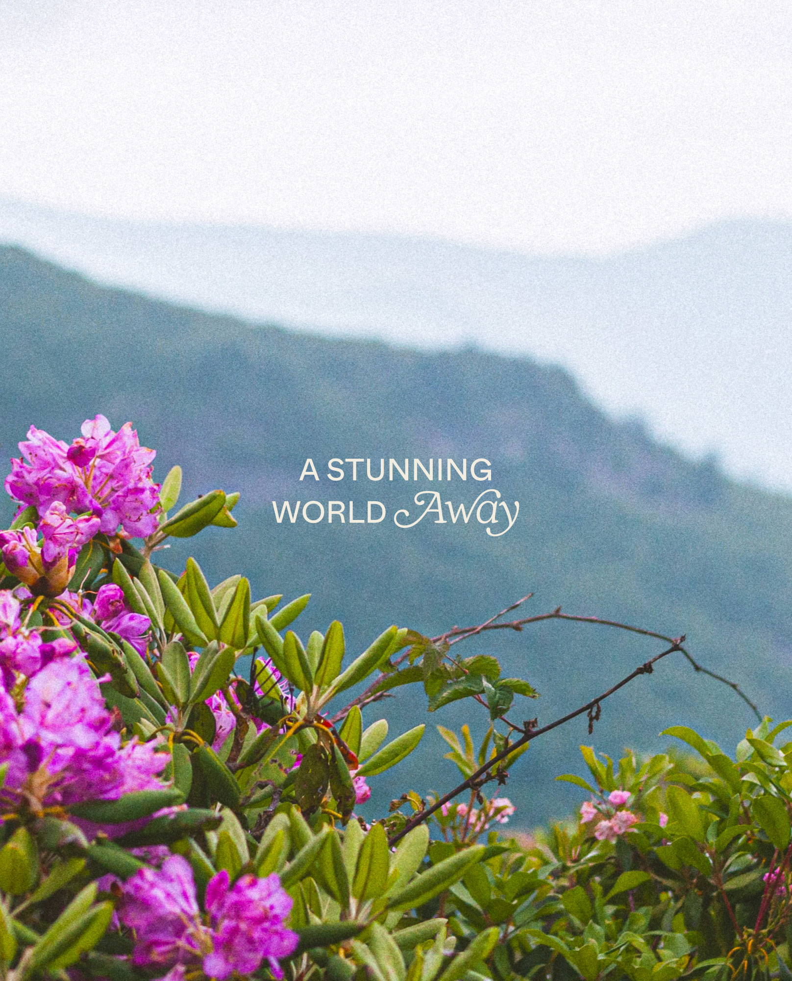 Highlands’ new identity puts the region’s character on the map