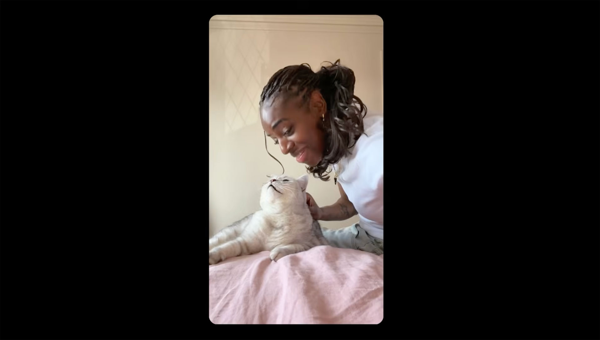 Entropy Cat Sheba campaign turns cat owners from ignored to adored